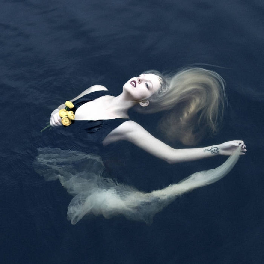 Sylvaine - Silent Chamber, Noisy Heart - CD DIGIPAK - Eisenwald - Image 2