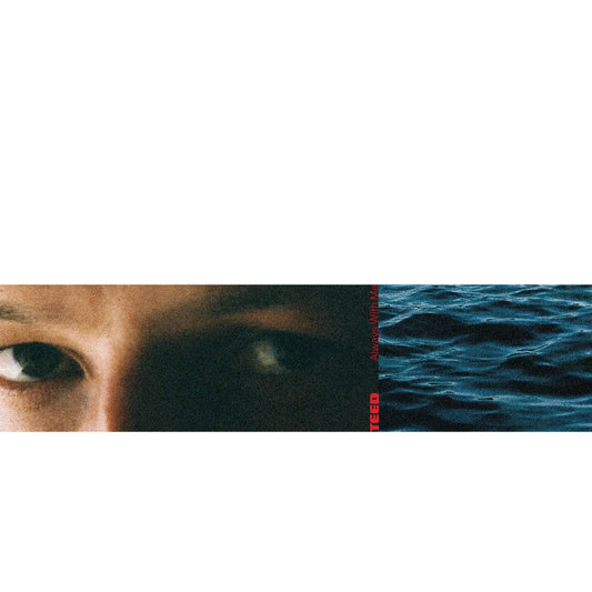 TEED - Always With Me - CASSETTE - Nice Age