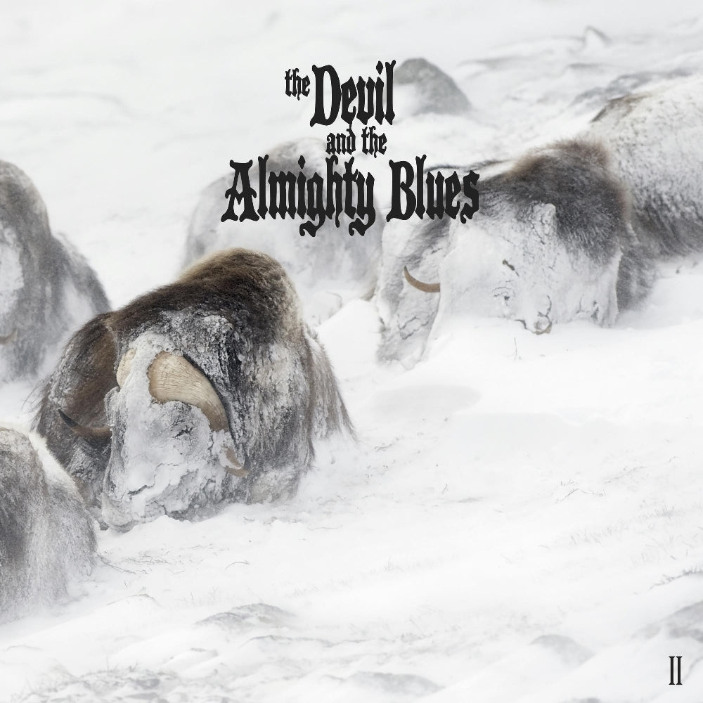 The Devil And The Almighty Blues - II - CD - Time Ruins Records