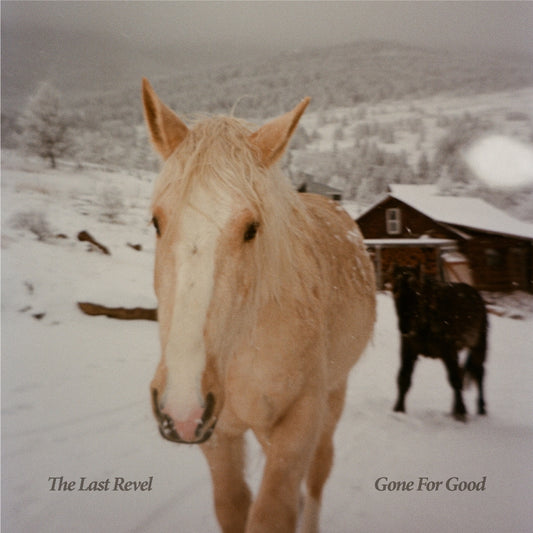 The Last Revel - Gone For Good - CD DIGISLEEVE - Hassle House Records