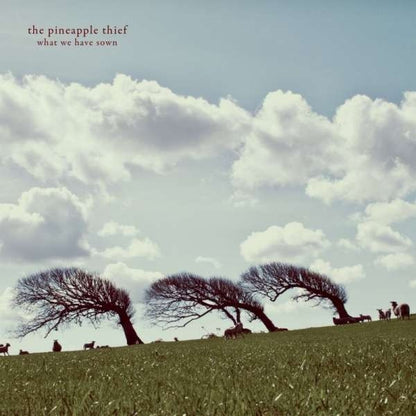 The Pineapple Thief - What We Have Sown - DOUBLE LP GATEFOLD - Kscope - Image 2