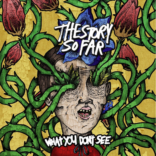 The Story So Far - What You Don't See - LP - Pure Noise Records