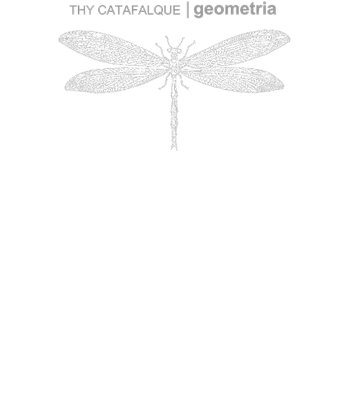 805-0