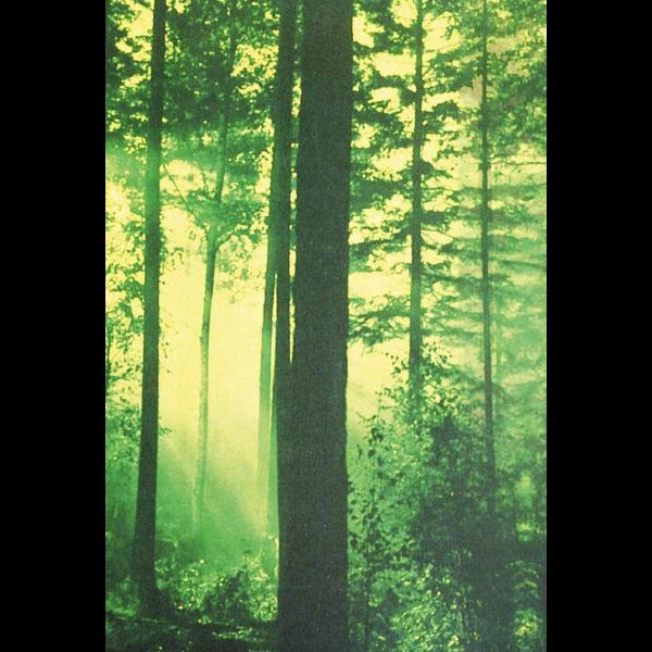 Thy Serpent - Forests Of Witchery - CASSETTE COLOURED - KVLT Limited Oy