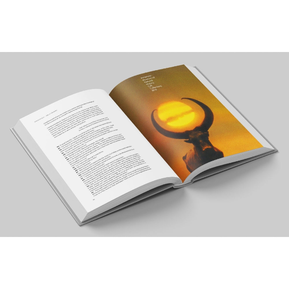 Tore Engelsen Espedal - L’Histoire d’Ulver - Wolves Evolve - BOOK - Editions Des Flammes Noires - Image 3