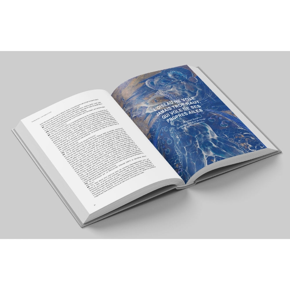 Tore Engelsen Espedal - L’Histoire d’Ulver - Wolves Evolve - BOOK - Editions Des Flammes Noires - Image 6