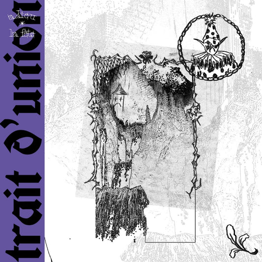 Trait D'Union - Adieu La Fête - CD DIGIPAK - Frozen Records