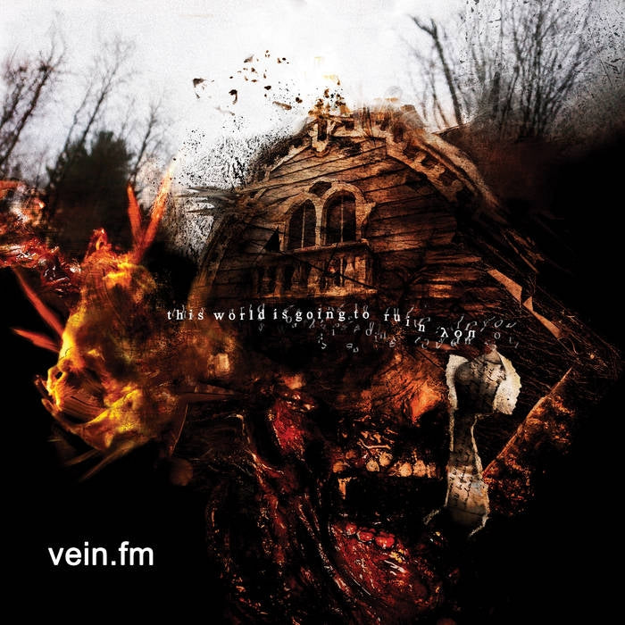 Vein.fm - This World Is Going To Ruin You - CD - Nuclear Blast