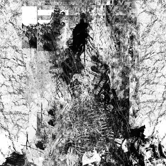 Vessel Of Iniquity - The Path Unseen - CASSETTE COLOURED - Sentient Ruin - Image 2