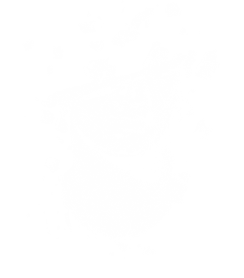 4336-0