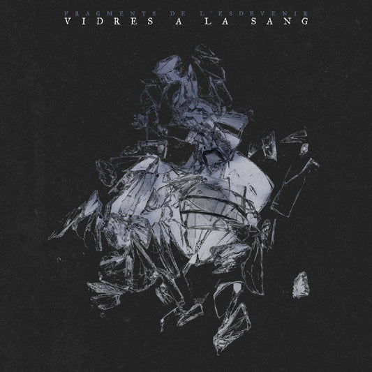 Vidres A La Sang - Fragments De L'Esdevenir - LP - Abstract Emotions