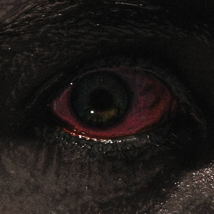 Voreus - The Proclamation - LP - Sentient Ruin