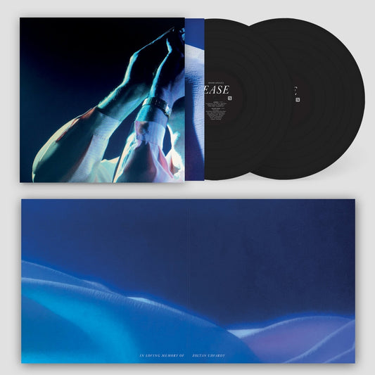Warm Graves - Ease - DOUBLE LP GATEFOLD - Fuzz Club