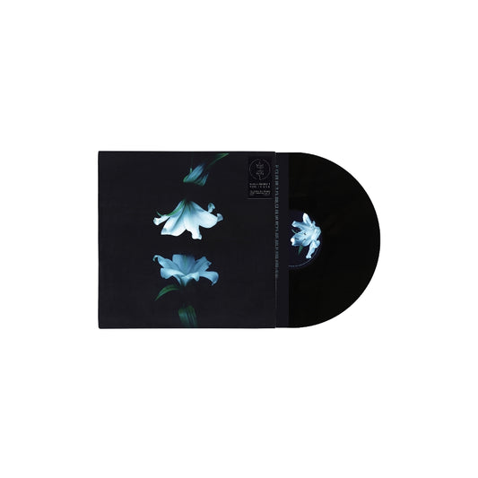 Wasia Project - Nocturne - LP - LAOLAO Records