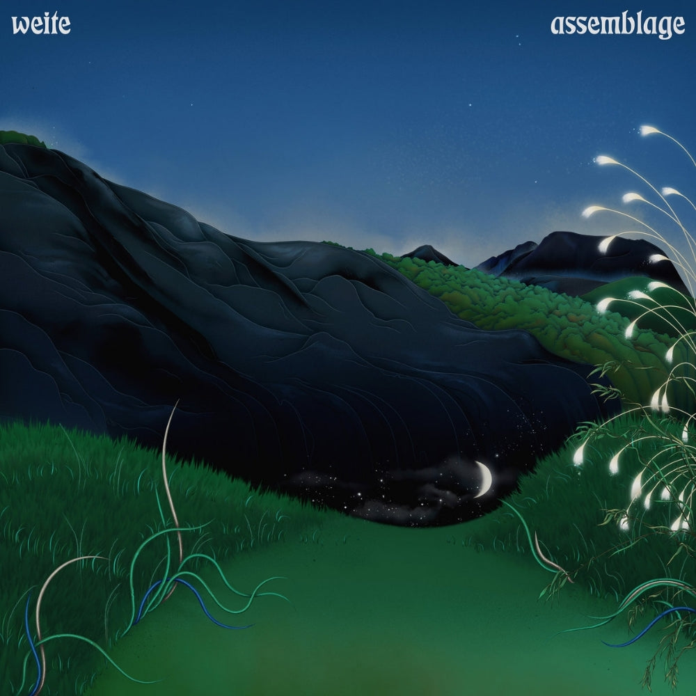 Weite - Assemblage - LP - Stickman Records - Image 2