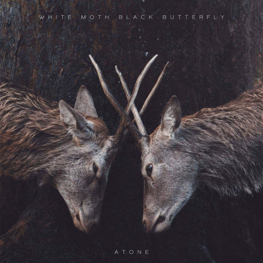White Moth Black Butterfly - Atone - CD DIGIPAK - Kscope