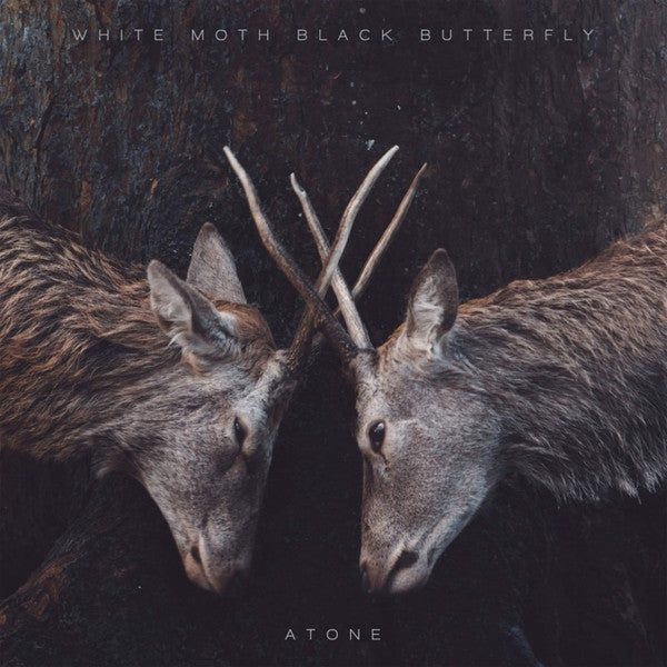 White Moth Black Butterfly - Atone - LP - Kscope - Image 2
