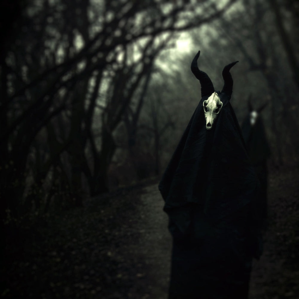 White Ward - Futility Report - CD DIGIPAK - Debemur Morti