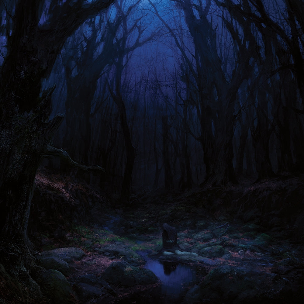 Woods Of Desolation - Torn Beyond Reason - LP Gatefold Coloured - Underground Activists - Image 2