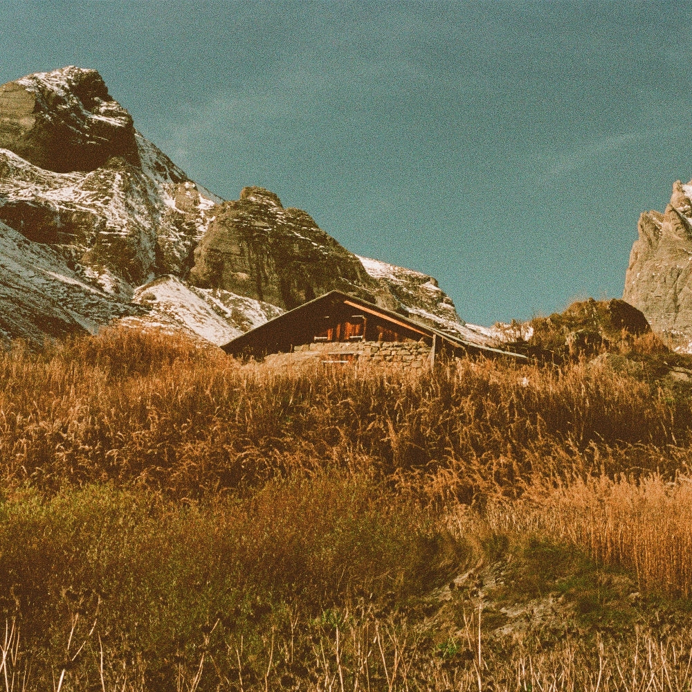 Yoo Doo Right - Build and Rest by the Shepherd’s Light - LP - Mothland